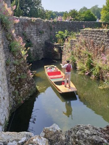 Toyin Edel Meremikwu 1.jpeg